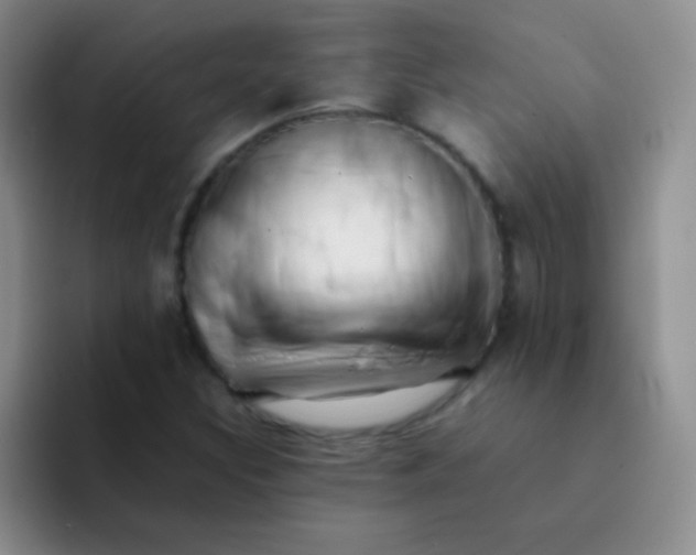 X0000092061308200709262020