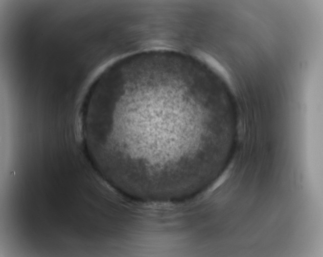 X0000092061310200709262020