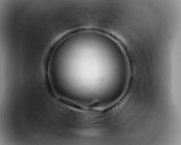 X0000092061311200709262020