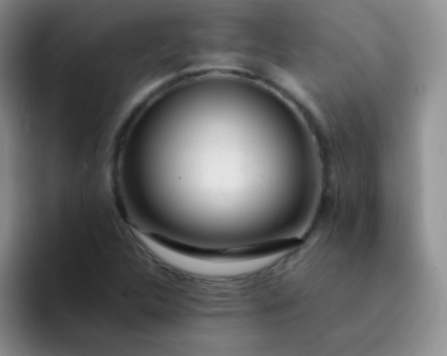 X0000092061312200709262020