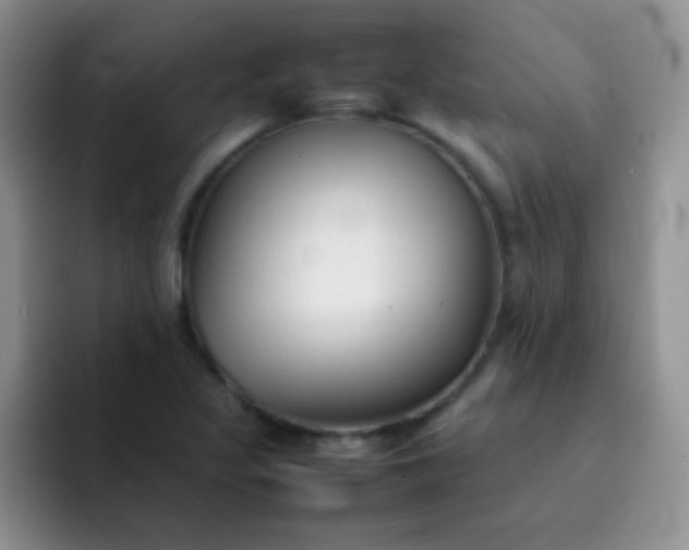 X0000092061317200709262020