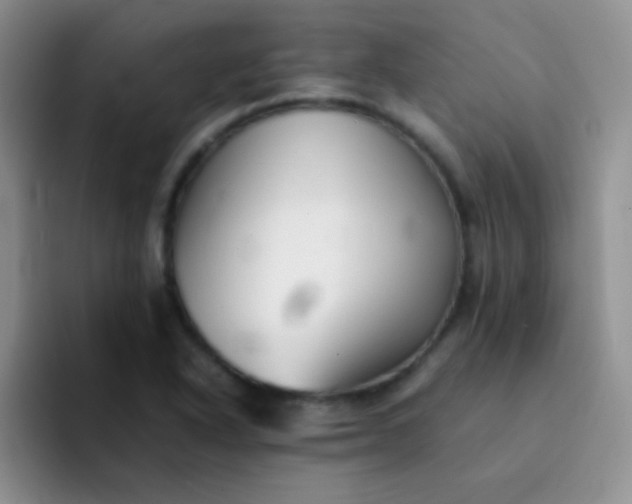 X0000092061318200709262020