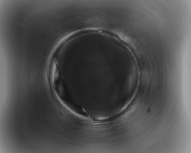 X0000092061319200709262020