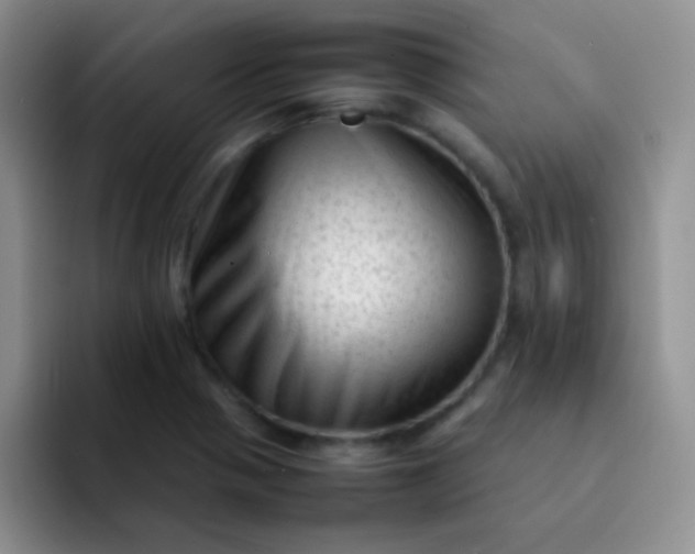 X0000092061321200709262020