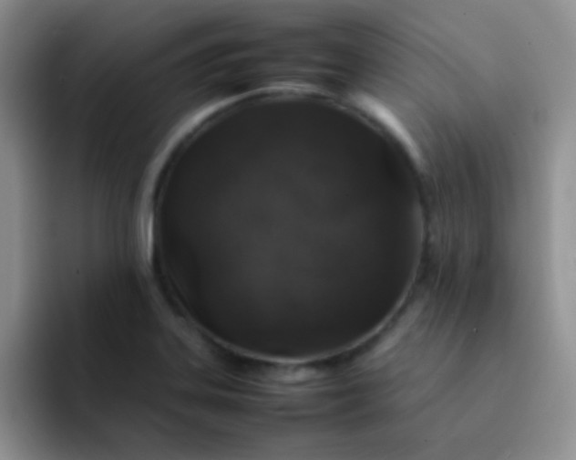 X0000092061323200709262020