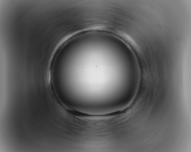 X0000092061324200709262020