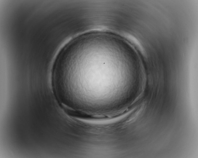 X0000092061326200709262020