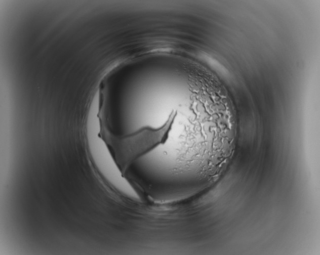 X0000092061329200709262020