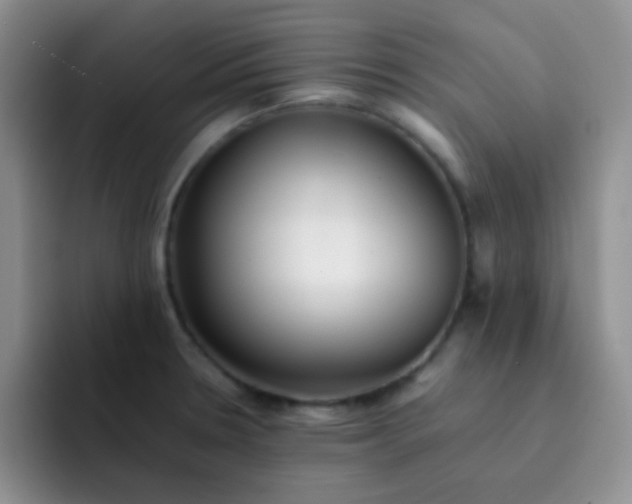 X0000092061330200709262021