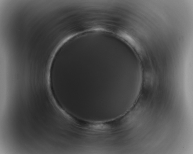 X0000092061331200709262021