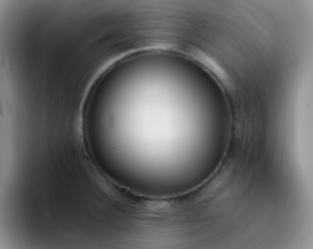 X0000092061332200709262021