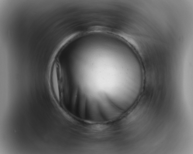 X0000092061333200709262021