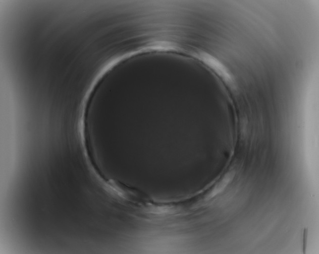 X0000092061334200709262021