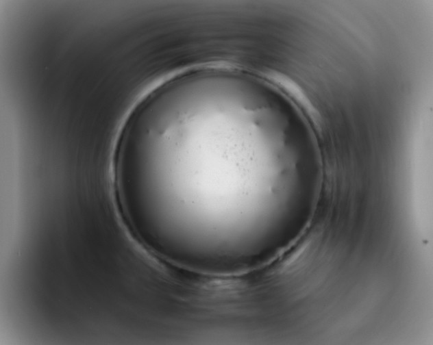 X0000092061335200709262021