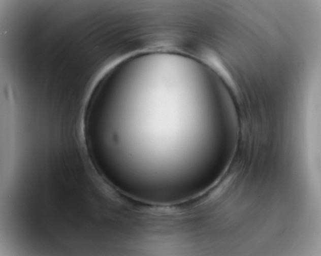 X0000092061336200709262021