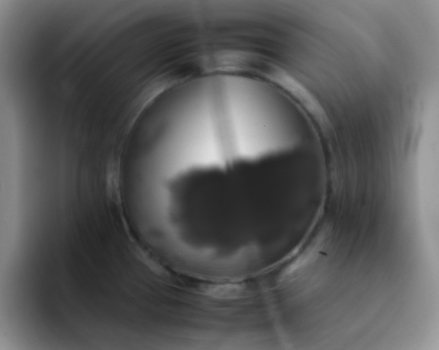 X0000092061337200709262021