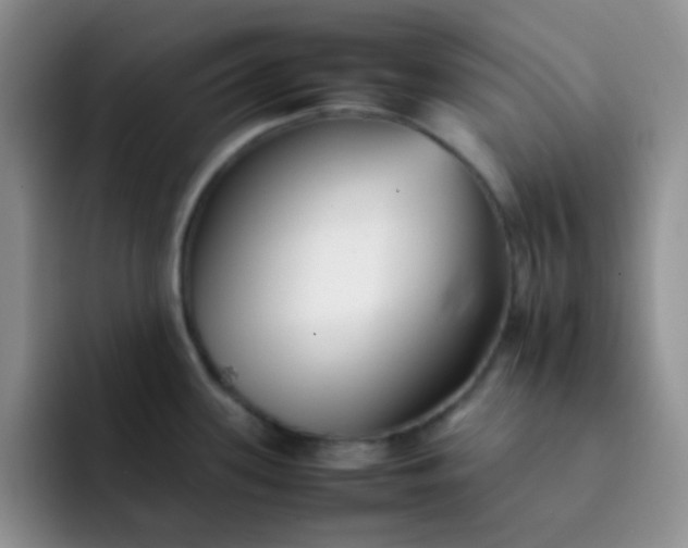 X0000092061339200709262021