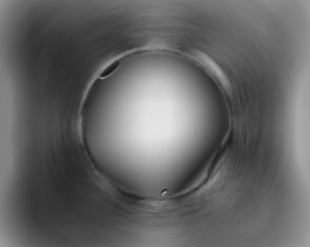 X0000092061340200709262021