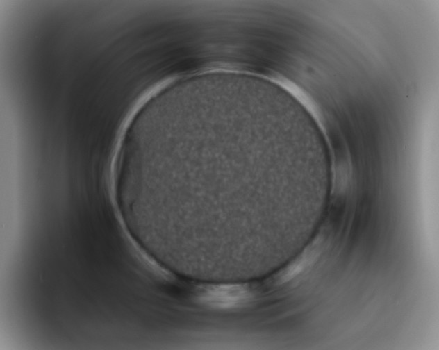 X0000092061341200709262021