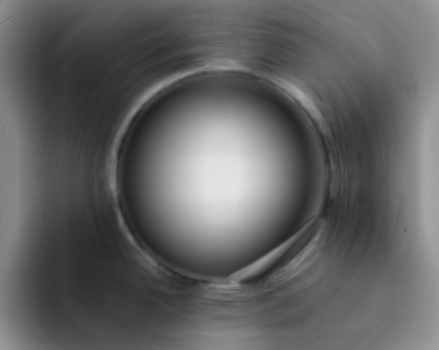 X0000092061342200709262021