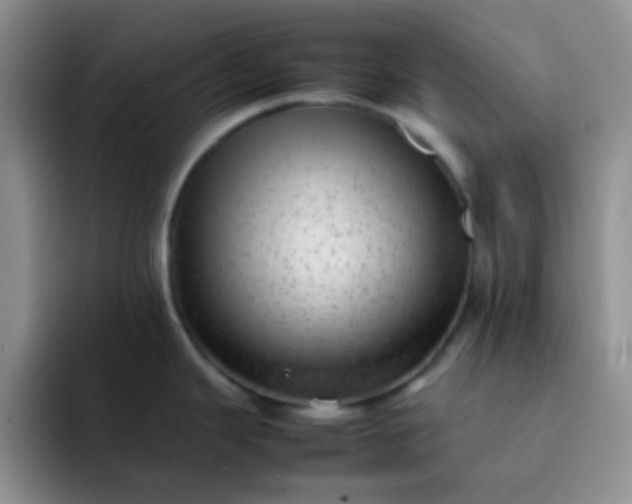 X0000092061343200709262021