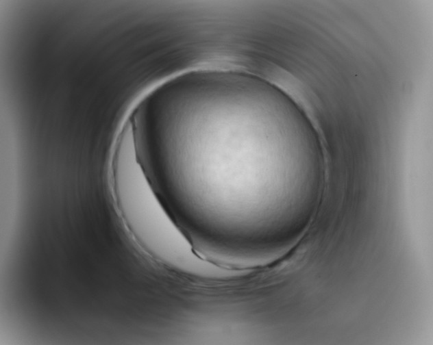 X0000092061344200709262021