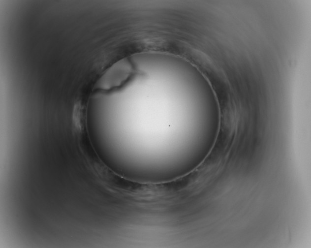 X0000092061346200709262020