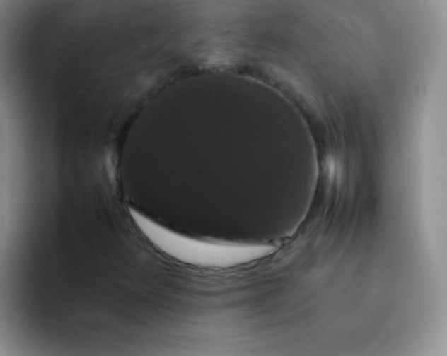 X0000092061348200709262020