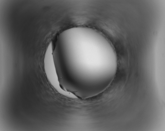 X0000092061349200709262020