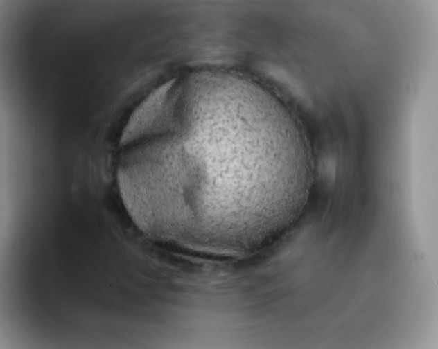 X0000092061350200709262020