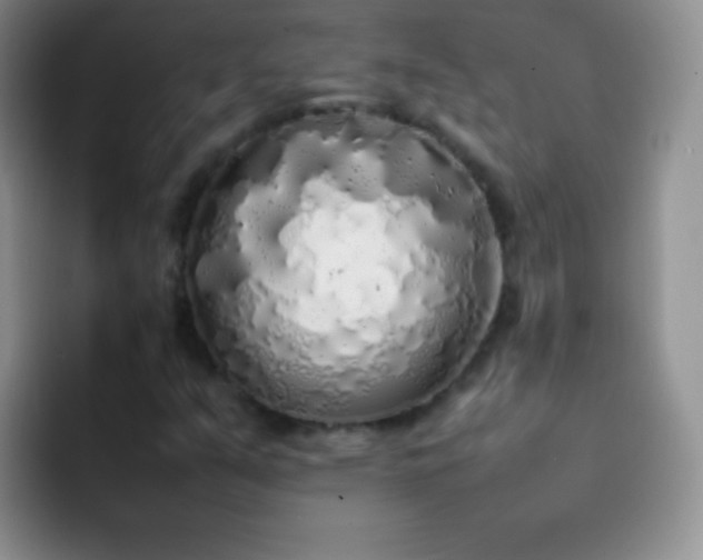 X0000092061351200709262020