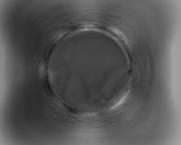 X0000092061353200709262020