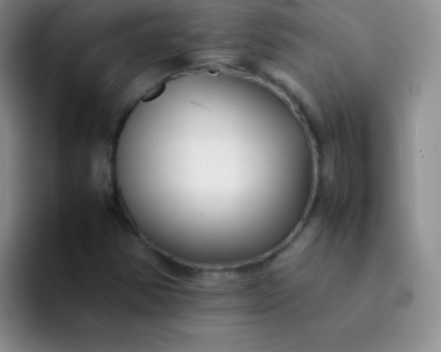 X0000092061354200709262020