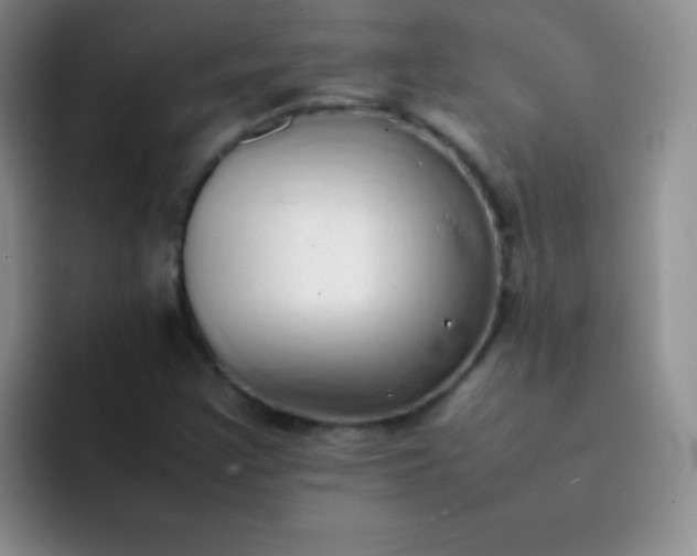 X0000092061355200709262020