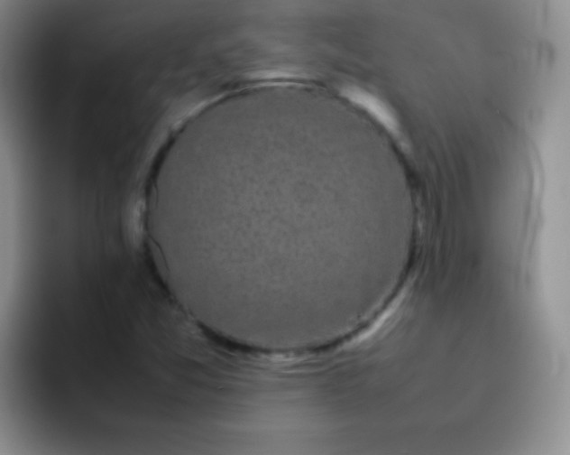 X0000092061357200709262020