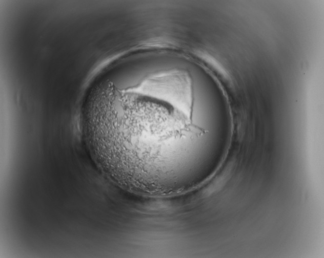 X0000092061358200709262020