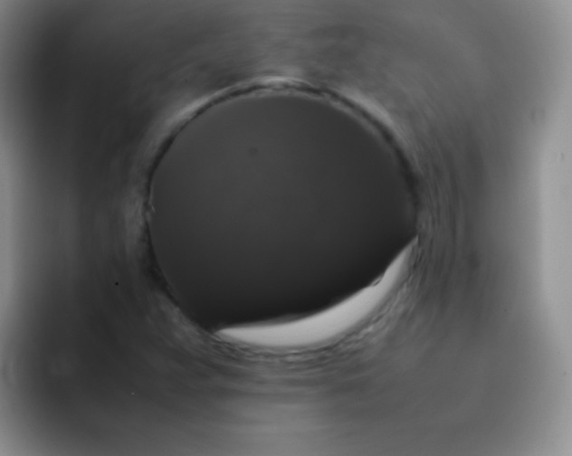 X0000092061359200709262020