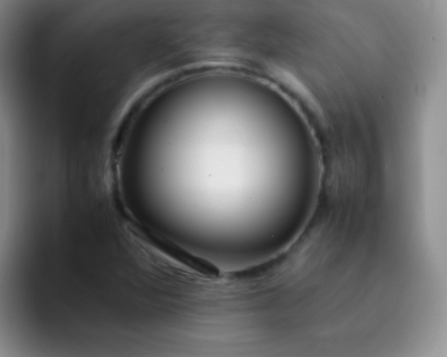 X0000092061360200709262020