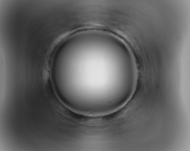 X0000092061363200709262020