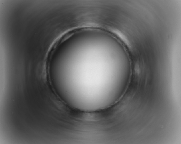 X0000092061364200709262020