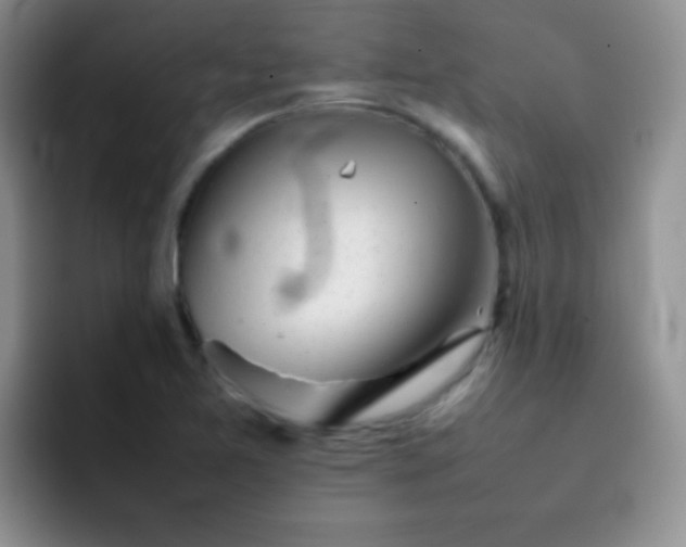 X0000092061365200709262020