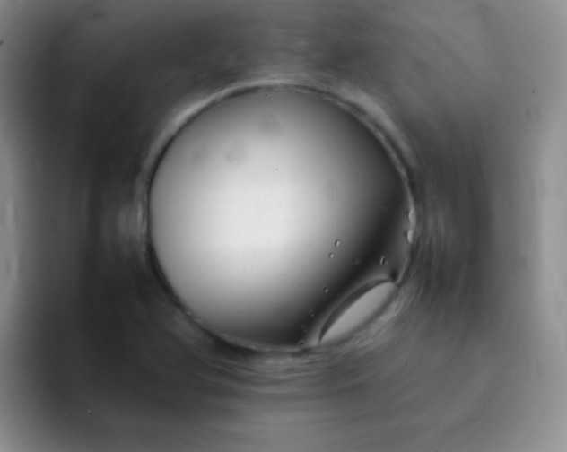 X0000092061366200709262020