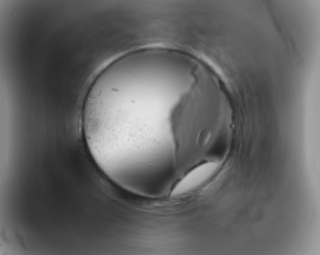 X0000092061367200709262020