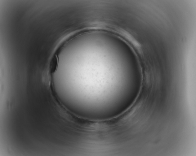 X0000092061368200709262020