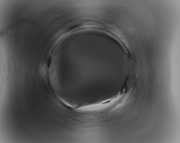 X0000092061369200709262020