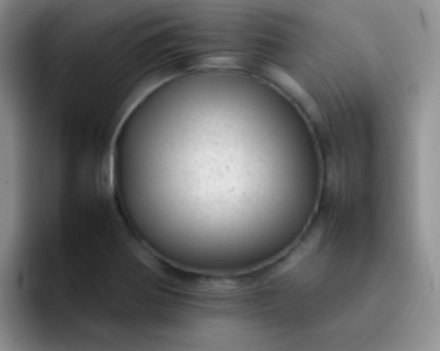 X0000092061370200709262020