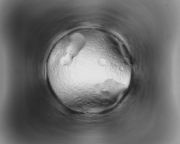 X0000092061371200709262020