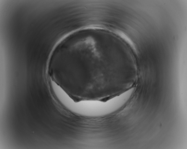 X0000092061372200709262020