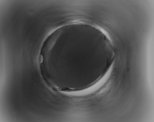 X0000092061373200709262020