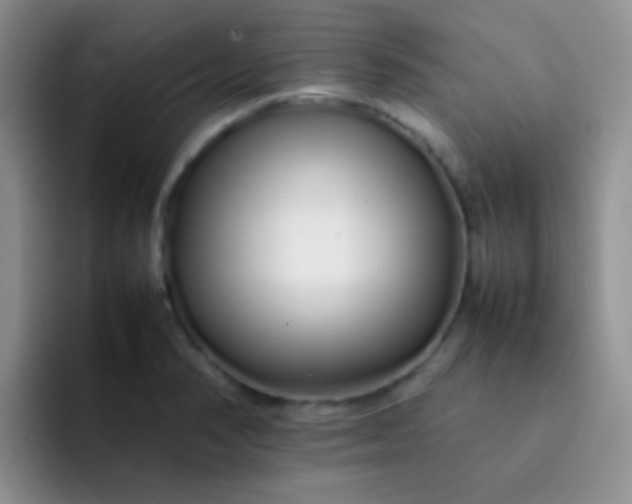 X0000092061374200709262020